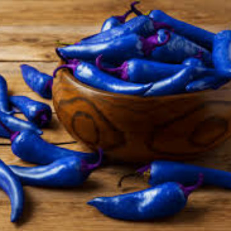 Chili Pepper Seeds - Blue