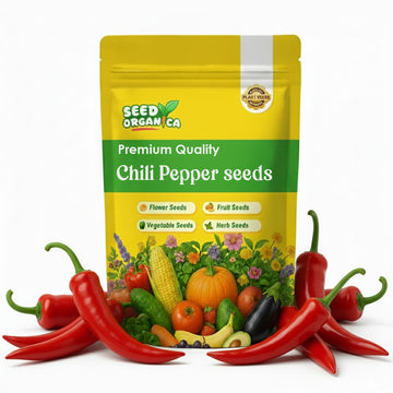 Chili Pepper Seeds – Thai Dragon
