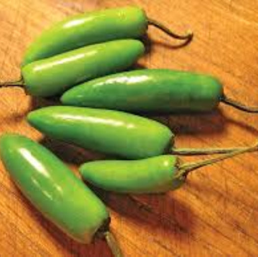 Chilli Seeds - Mix Serrano