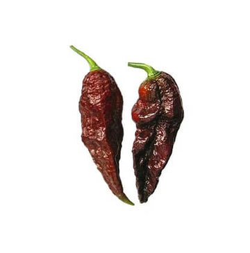 Chilli Pepper Seeds -  Black Bhut Jolokia