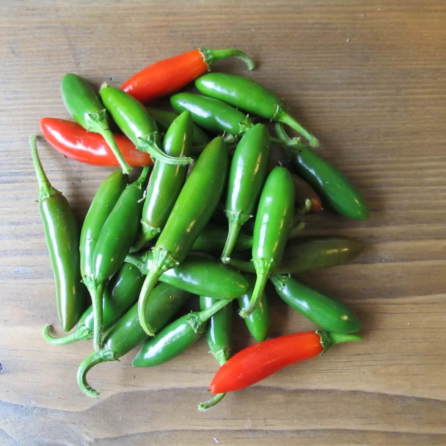 Chilli Pepper Seeds - Mix Serrano