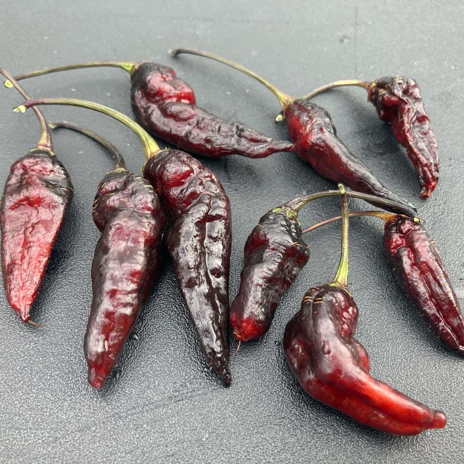 Chilli Pepper Seeds -  Black Bhut Jolokia
