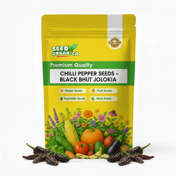 Chilli Pepper Seeds -  Black Bhut Jolokia