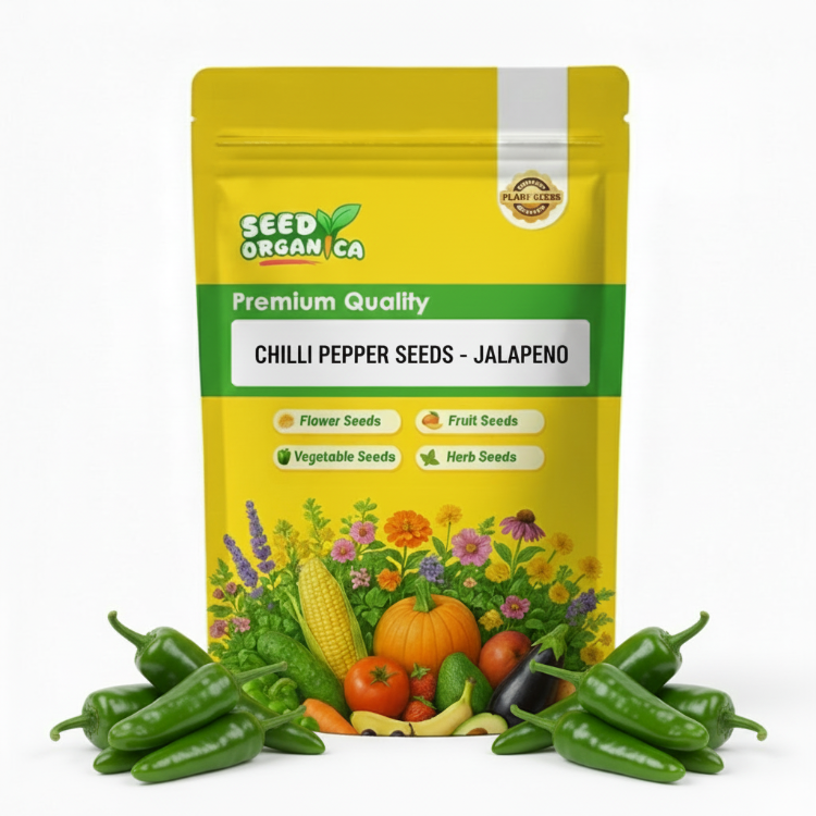 Chilli Pepper Seeds - Jalapeno