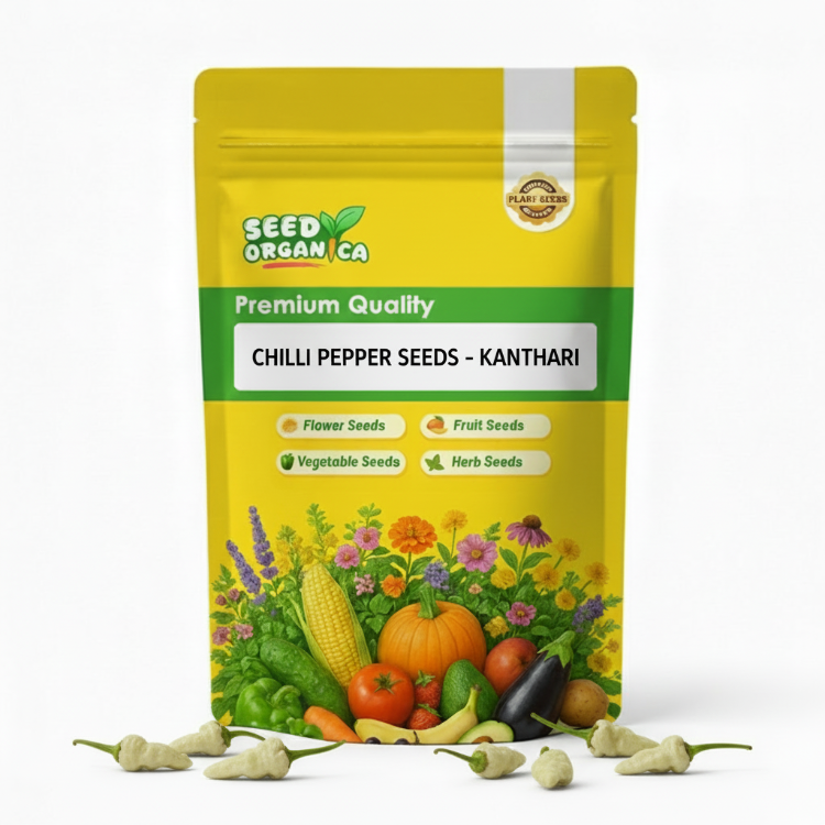 Chilli Pepper Seeds - Kanthari