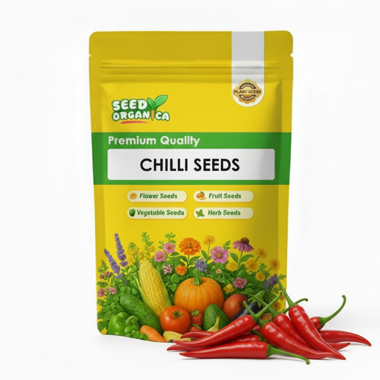 Chilli Seeds