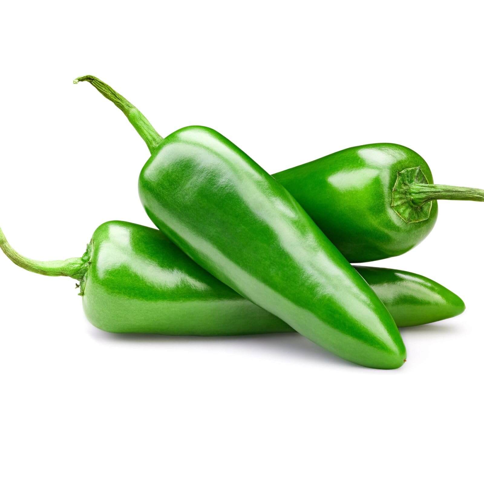 Chilli Seeds - Indian Short Green