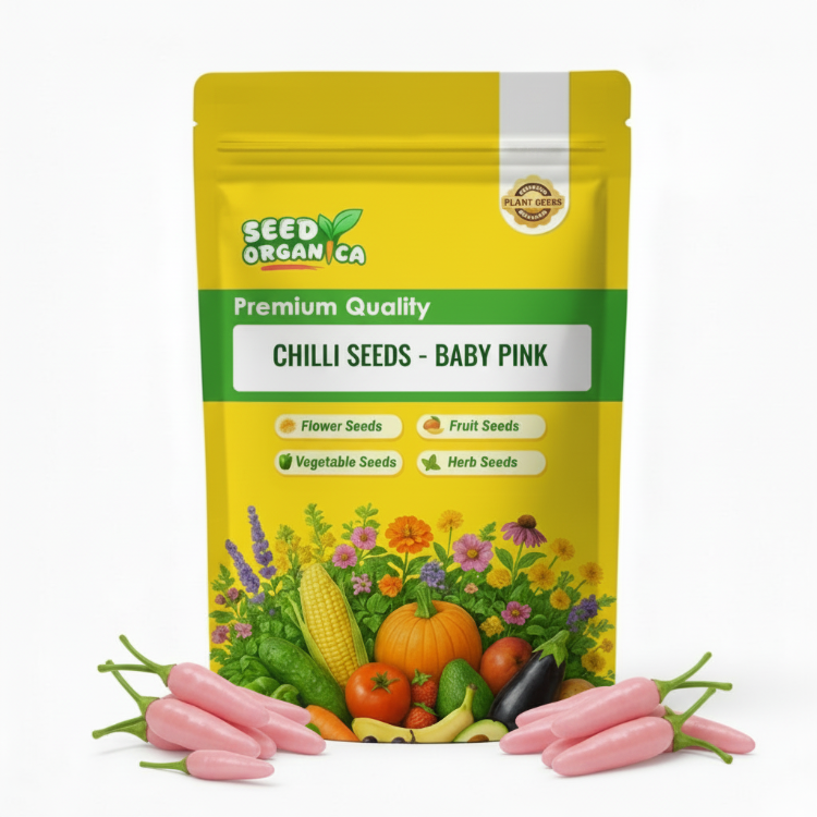 Chilli Seeds - Baby Pink