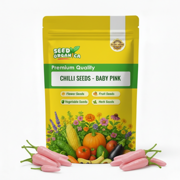 Chilli Seeds - Baby Pink