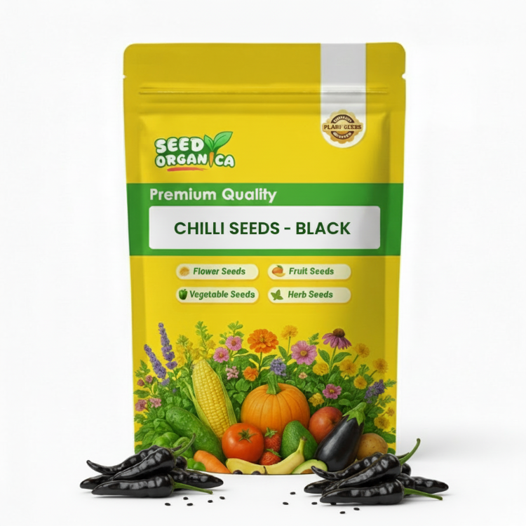 Chilli Seeds -  Black