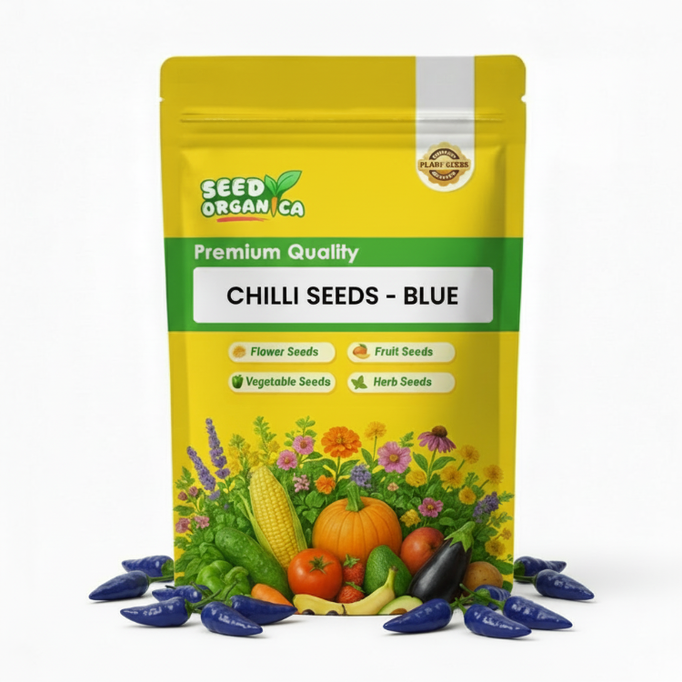 Chilli Seeds - Blue