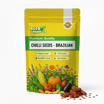 Chilli Seeds - Brazilian