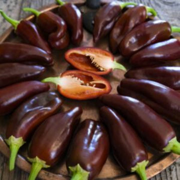 Chilli Seeds - Brown 