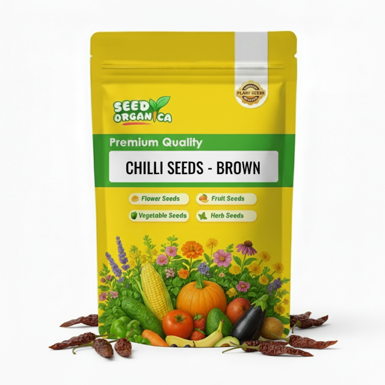 Chilli Seeds - Brown