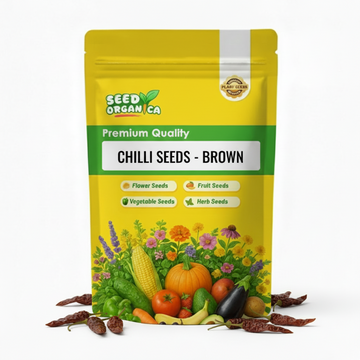 Chilli Seeds - Brown