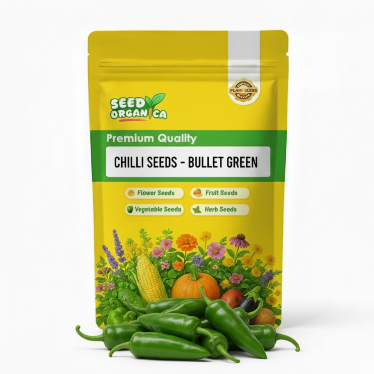 Chilli Seeds - Bullet Green