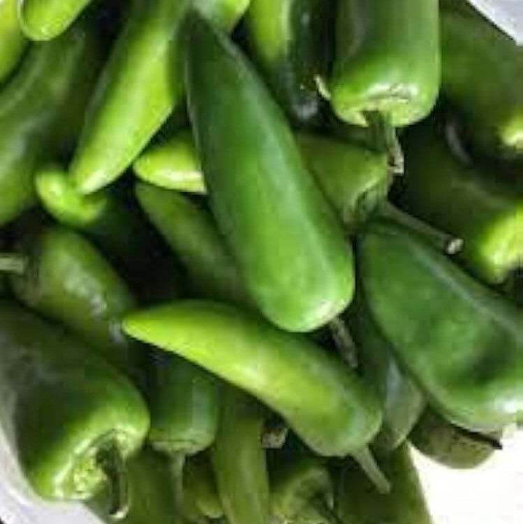 Chilli Seeds - Bullet Green