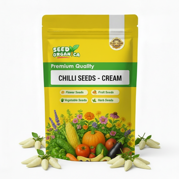 Chilli Seeds - Cream