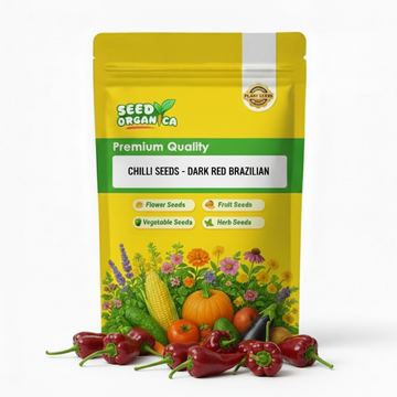 Chilli Seeds -  Dark Red Brazilian