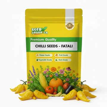 Chilli Seeds - Fatali