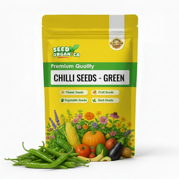 Chilli Seeds - Green
