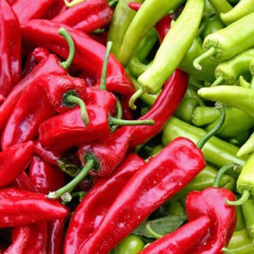 Chilli Seeds - Hatch