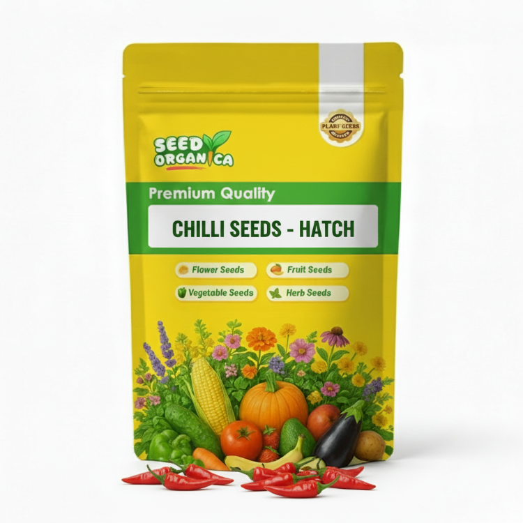 Chilli Seeds - Hatch