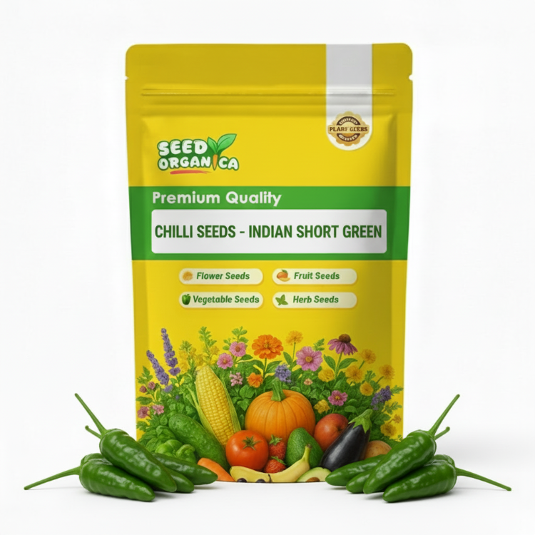 Chilli Seeds - Indian Short Green