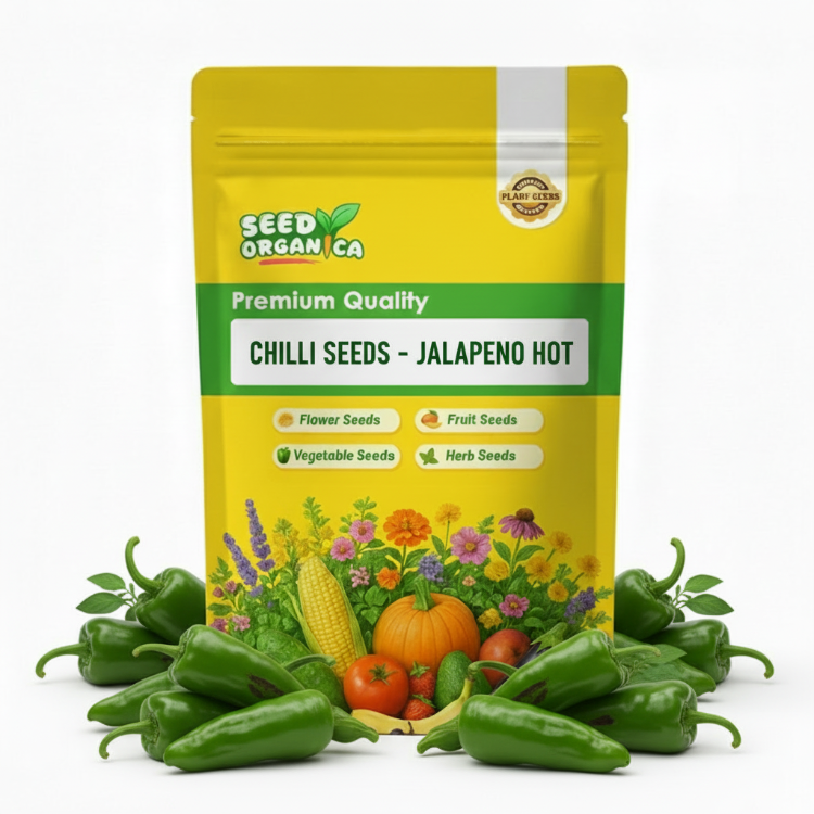 Chilli Seeds - Jalapeno Hot