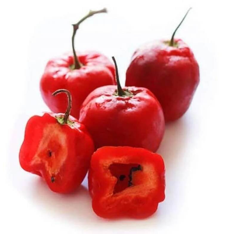 Chilli Seeds - Locoto 