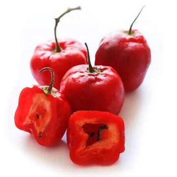 Chilli Seeds - Locoto 