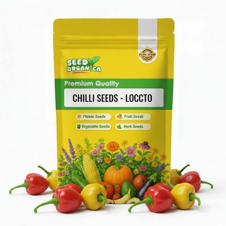 Chilli Seeds - Locoto