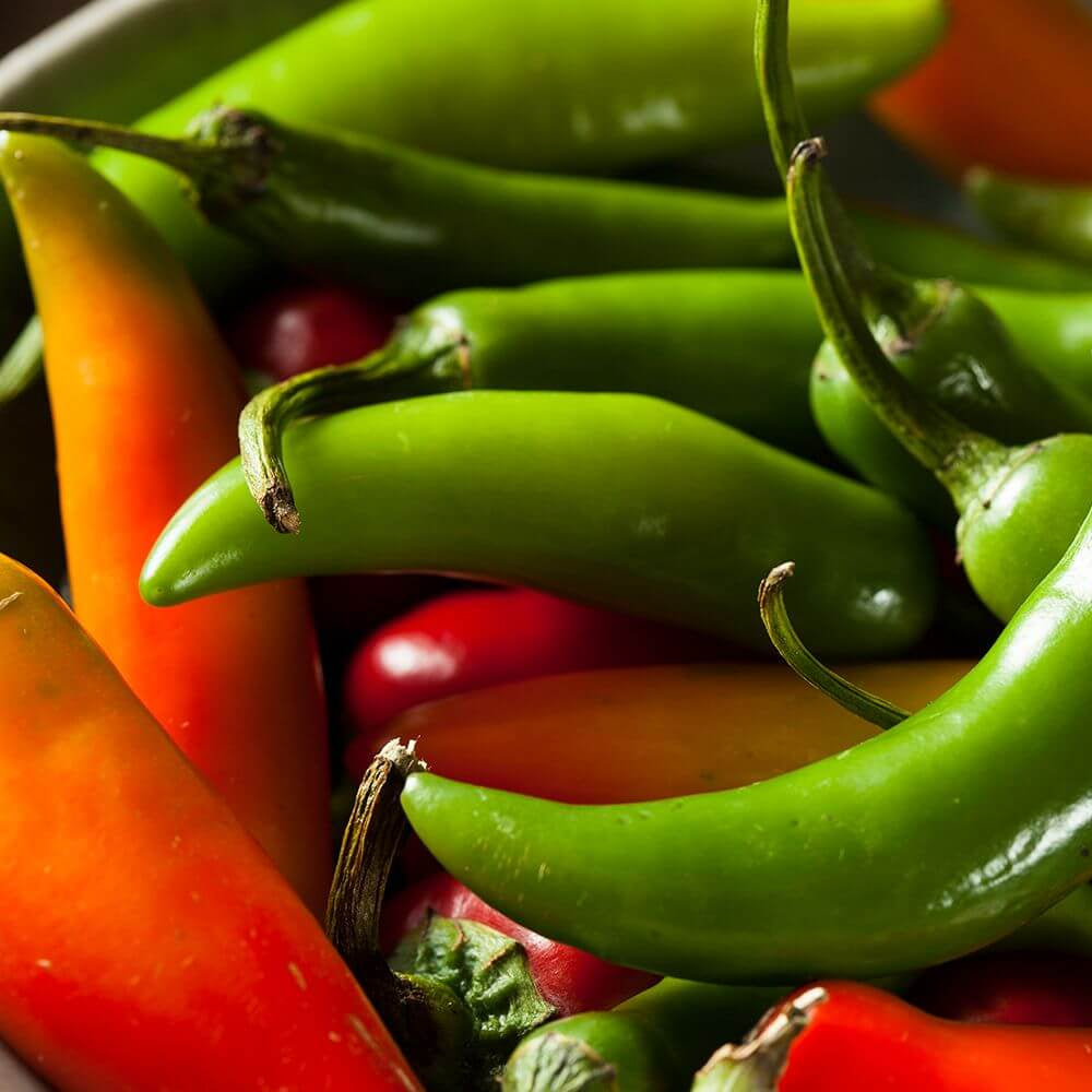 Chilli Seeds - Mix Serrano