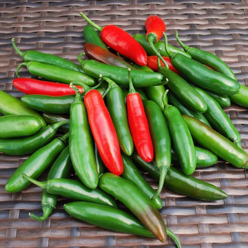 Chilli Seeds - Mix Serrano