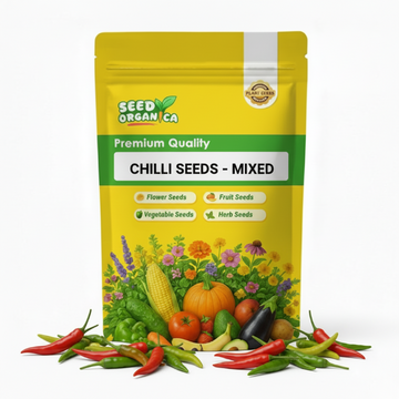 Chilli Seeds - Mixed