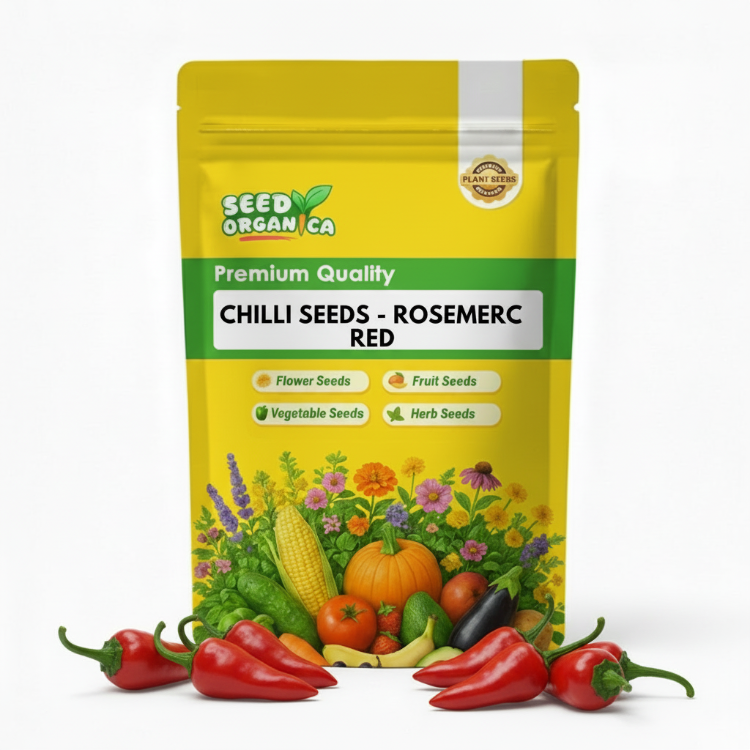 Chilli Seeds - ROSEMERC Red