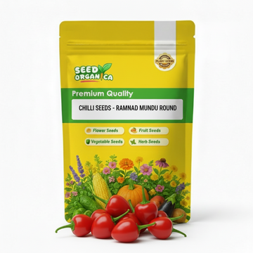 Chilli Seeds - Ramnad Mundu Round
