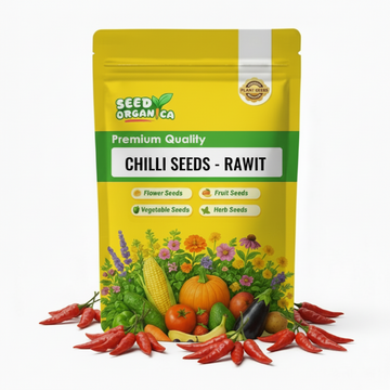 Chilli Seeds - Rawit