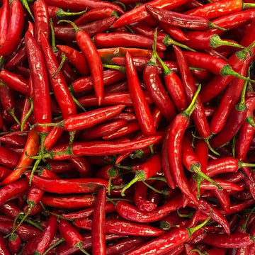 Chilli Seeds - Red 