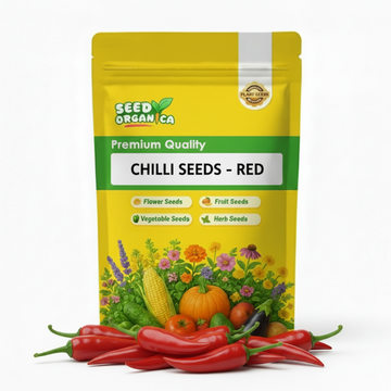 Chilli Seeds - Red