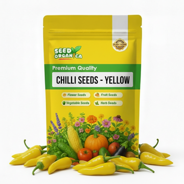 Chilli Seeds - Yellow