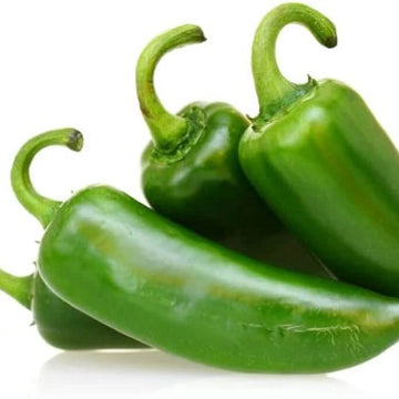 Chilli Seeds - Indian Short Green