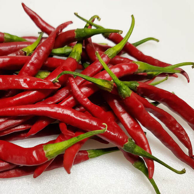 Chilli Seeds - Red 
