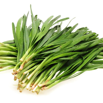 Chinese Chive Seeds – Aromatic