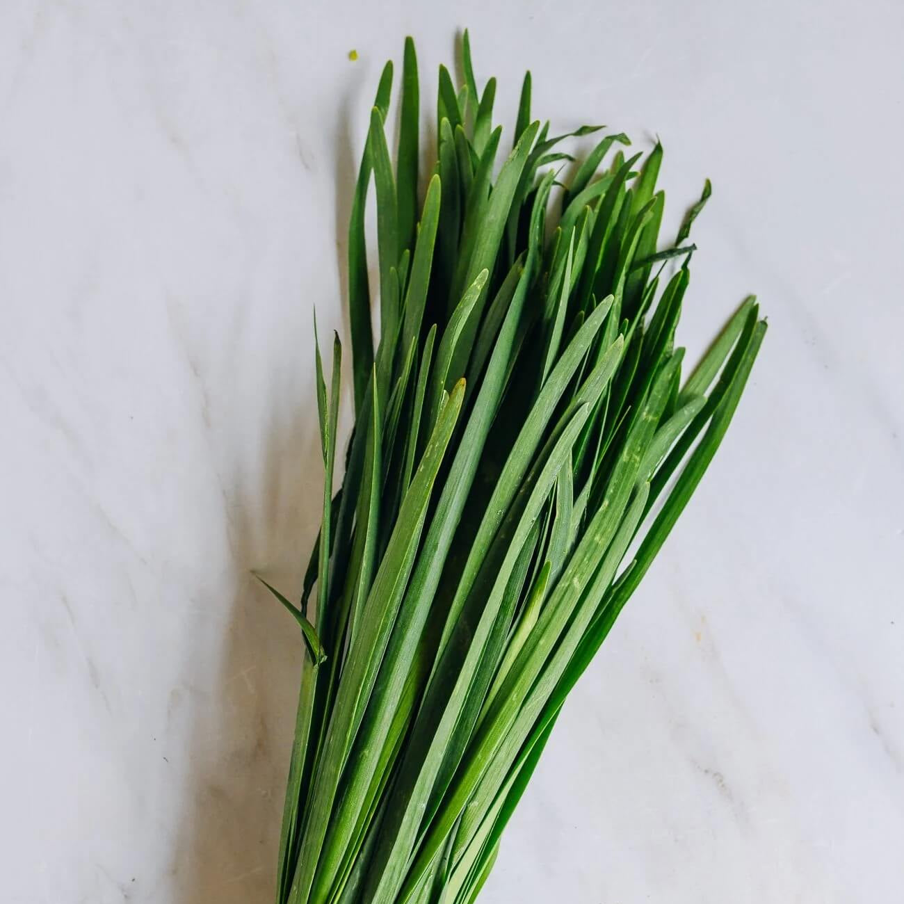 Chinese Chive Seeds – Aromatic