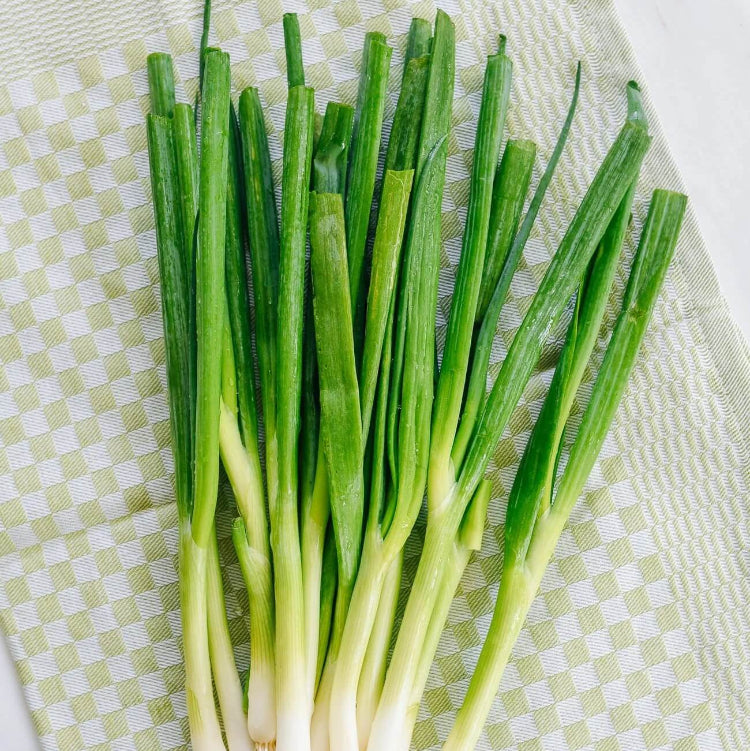 Chinese Chive Seeds – Aromatic