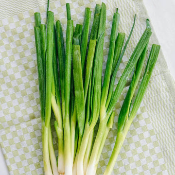 Chinese Chive Seeds – Aromatic