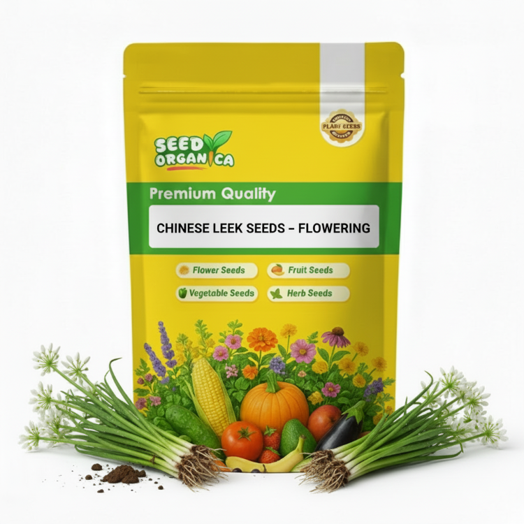 Chinese Leek Seeds – Flowering