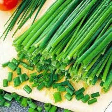 Chive Seeds – Chinese