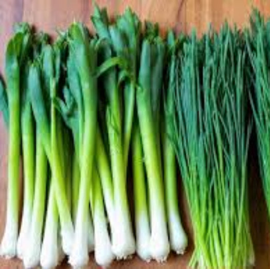 Chive Seeds – Onion